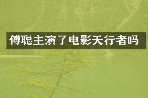 傅聪主演了电影天行者吗