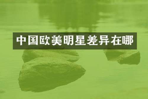 中国欧美明星差异在哪