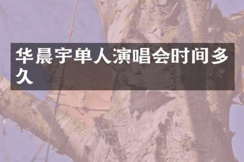 华晨宇单人演唱会时间多久