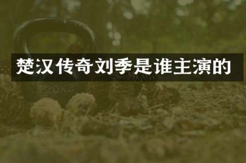 楚汉传奇刘季是谁主演的