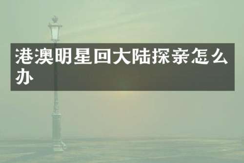 港澳明星回大陆探亲怎么办