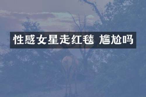 性感女星走红毯 尴尬吗