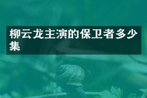 柳云龙主演的保卫者多少集