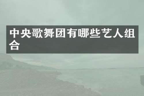 中央歌舞团有哪些艺人组合