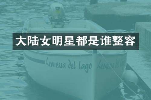 大陆女明星都是谁整容