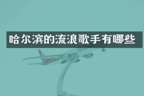 哈尔滨的流浪歌手有哪些
