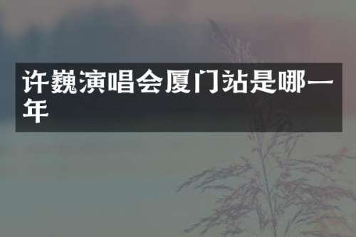 许巍演唱会厦门站是哪一年