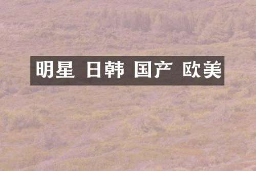明星 日韩 国产 欧美