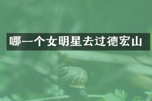 哪一个女明星去过德宏山