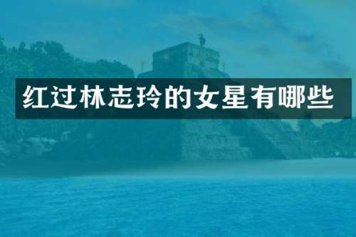 红过林志玲的女星有哪些