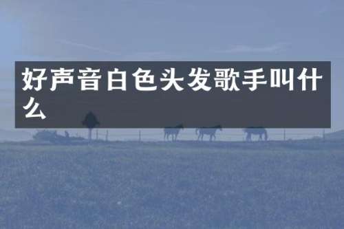 好声音白色头发歌手叫什么