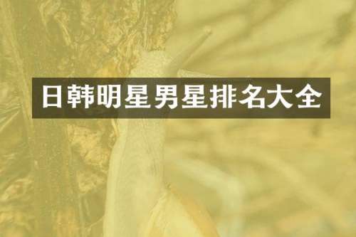 日韩明星男星排名大全