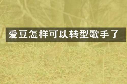 爱豆怎样可以转型歌手了