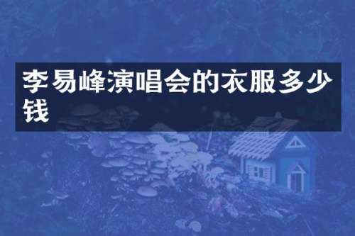 李易峰演唱会的衣服多少钱