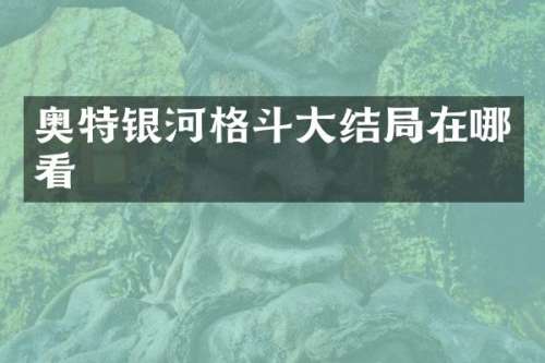 奥特银河格斗大结局在哪看