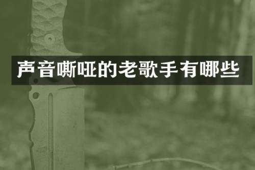 声音嘶哑的老歌手有哪些