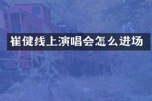 崔健线上演唱会怎么进场