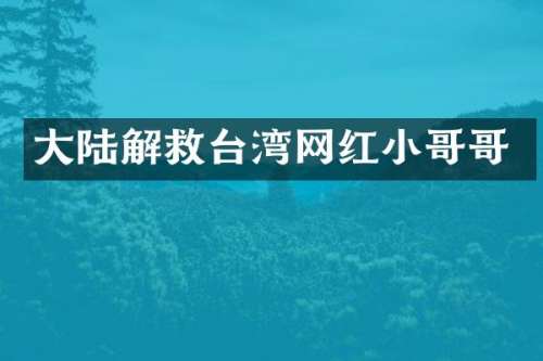 大陆解救台湾网红小哥哥