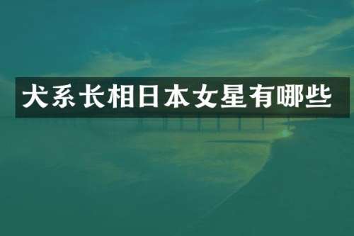 犬系长相日本女星有哪些
