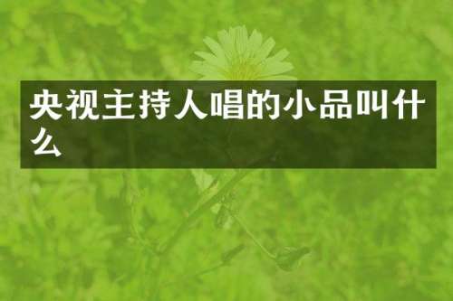 央视主持人唱的小品叫什么