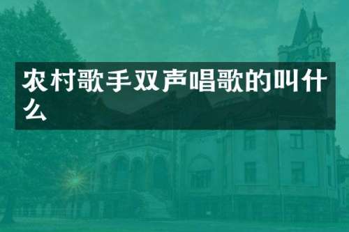 农村歌手双声唱歌的叫什么