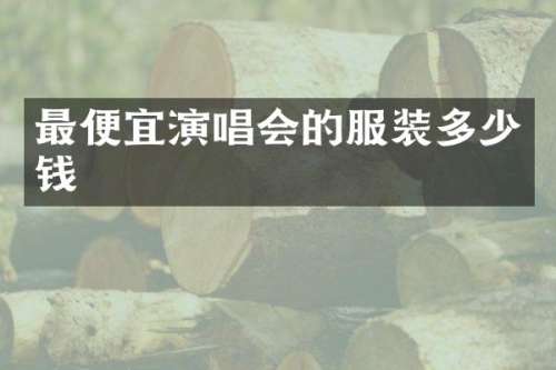 演唱会的服装多少钱