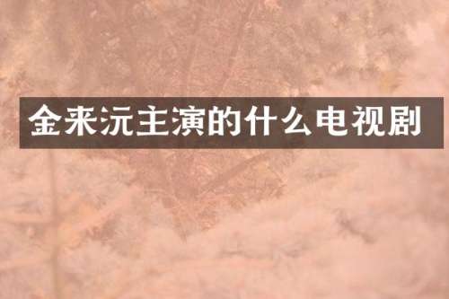 金来沅主演的什么电视剧