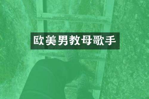 欧美男教母歌手