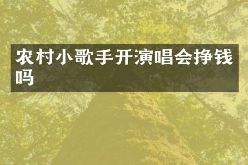 农村小歌手开演唱会挣钱吗