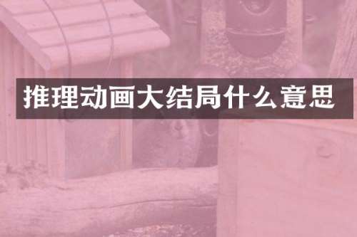 推理动画大结局什么意思