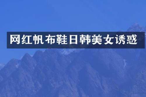 网红帆布鞋日韩诱惑