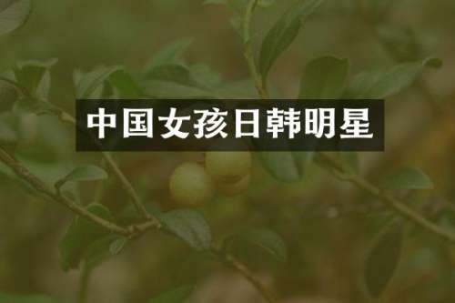 中国女孩日韩明星