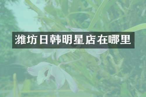 潍坊日韩明星店在哪里