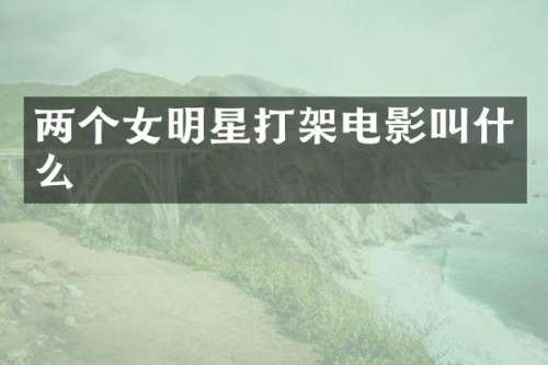 两个女明星打架电影叫什么