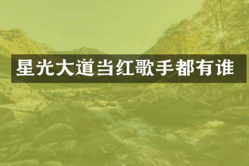 星光大道当红歌手都有谁