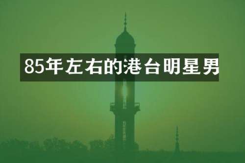 85年左右的港台明星男