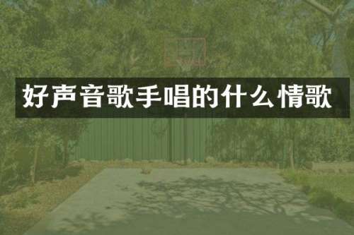 好声音歌手唱的什么情歌