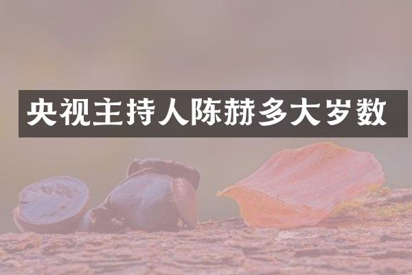 央视主持人陈赫多大岁数