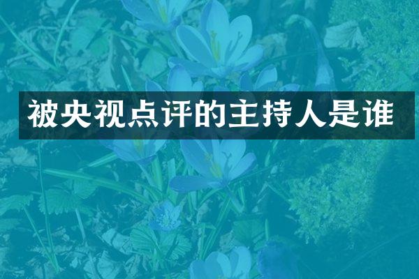 被央视点评的主持人是谁
