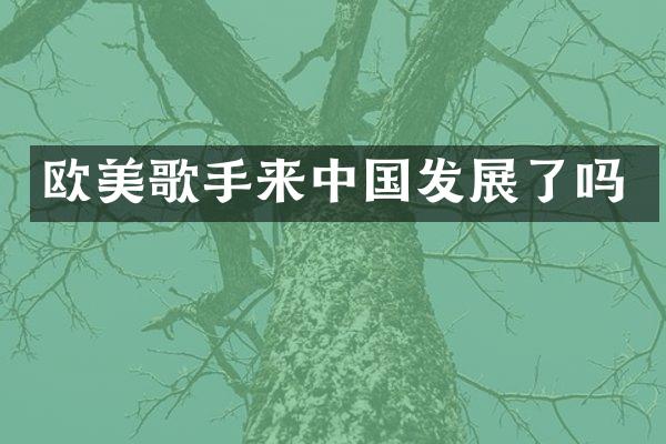 欧美歌手来中国发展了吗