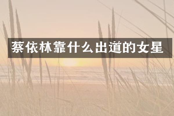 蔡依林靠什么出道的女星