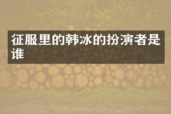 征服里的韩冰的扮演者是谁