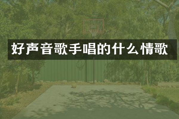 好声音歌手唱的什么情歌