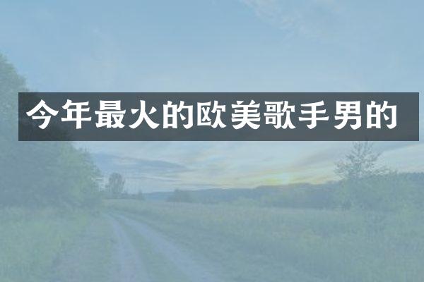 今年最火的欧美歌手男的