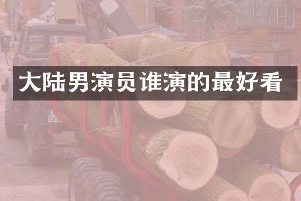 大陆男演员谁演的最好看