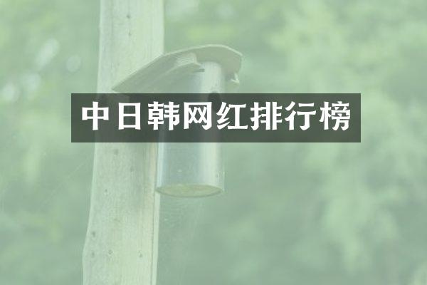 中日韩网红排行榜