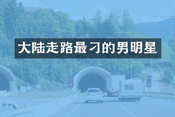 大陆走路最刁的男明星