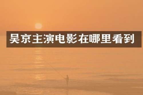 吴京主演电影在哪里看到