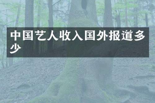 中国艺人收入国外报道多少