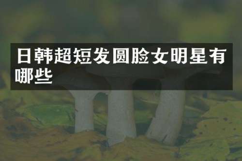 日韩超短发圆脸女明星有哪些